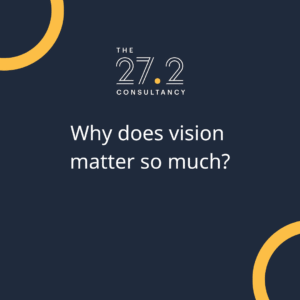 Why does vision matter so much?